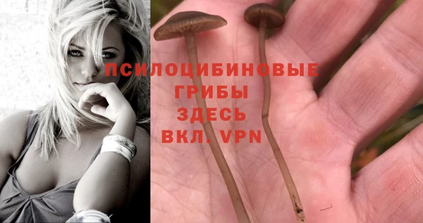 соль курить ск Верея